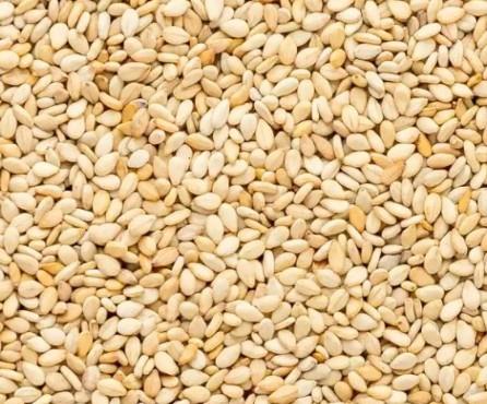 Queenswood Natural White Sesame Seeds 500g