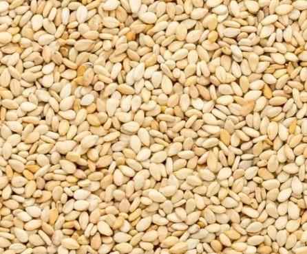 Queenswood Natural White Sesame Seeds 500g