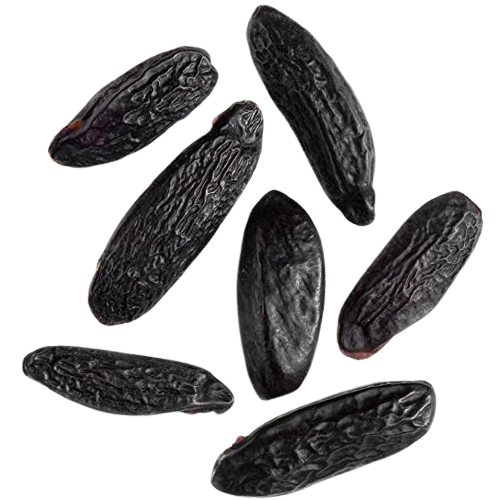 Centaur Tonka Beans 50gm - The Chef Store UK
