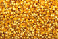 Parkers Popping Corn 1kg